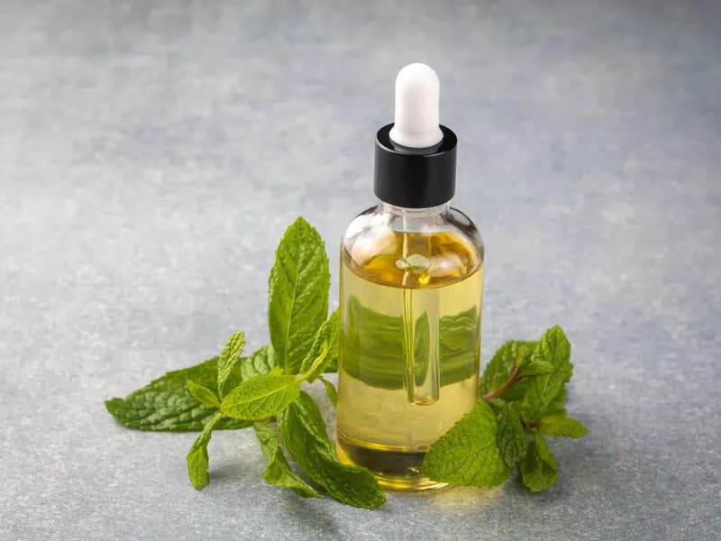 “Migrenle Tanıştıysanız, Nane Yağıyla da Tanışmalısınız.”
