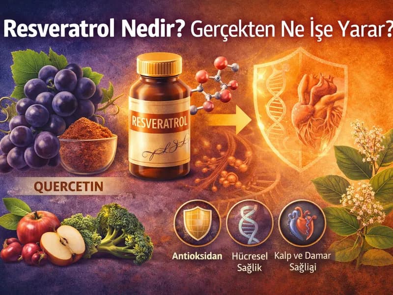 Resveratrol Nedir? Gerçekten Ne İşe Yarar?