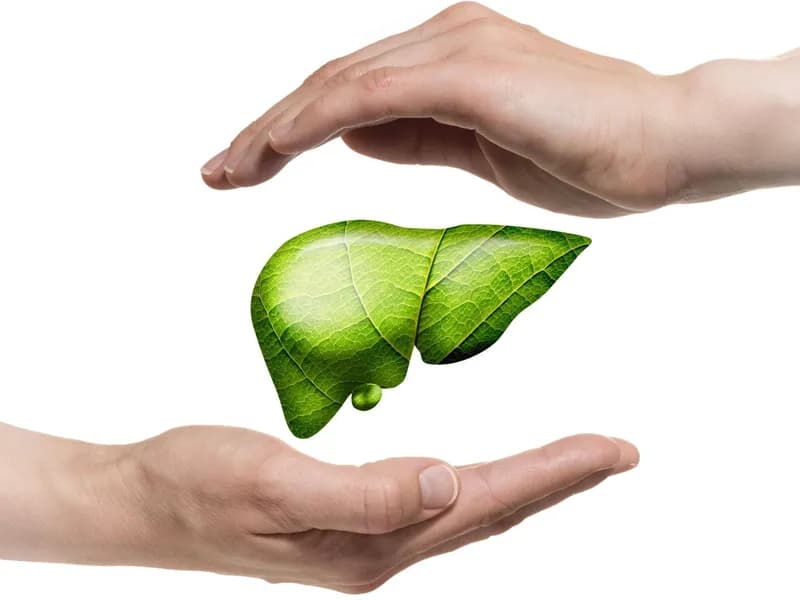 “Karaciğerinizi Koruyun” : “Beslenme & Bitkisel Destekler”