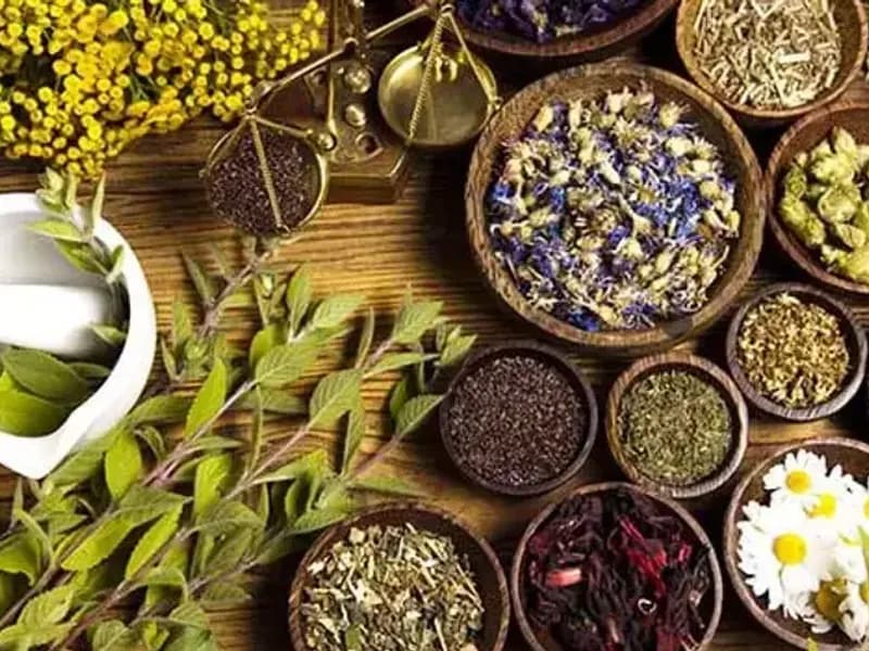 Hayatımızdaki esansiyel yağların rolü