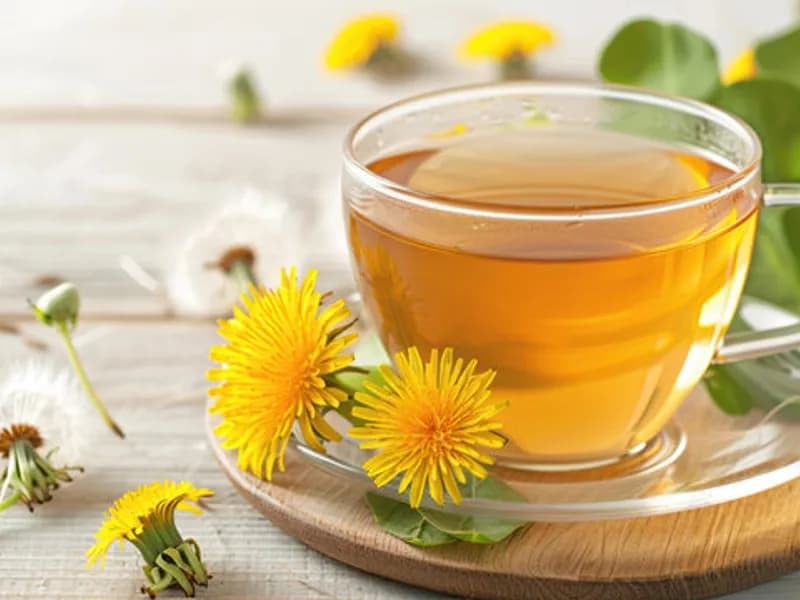 Karahindiba'nın Faydaları ve Doğru Kullanımı